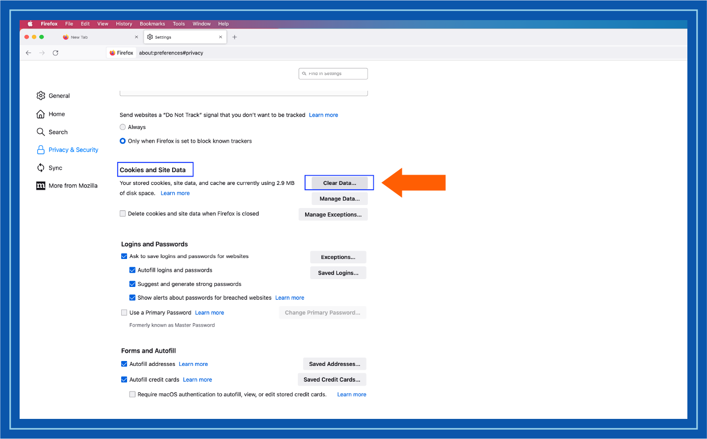 Image showing step 4 of clearing cookies from Firefox